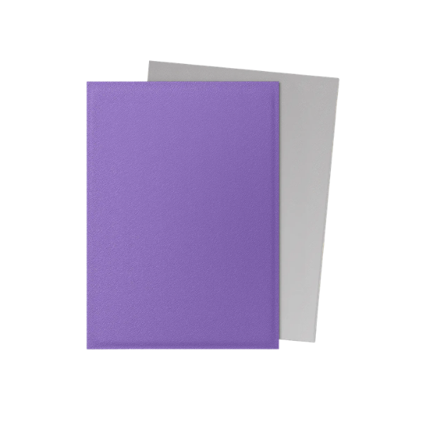 100 protège-cartes standard Dual Mat - Dragon Shield
