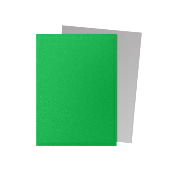 100 protège-cartes standard Dual Mat - Dragon Shield