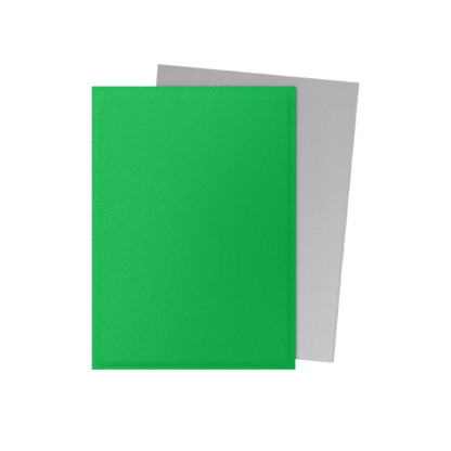 100 protège-cartes standard Dual Mat - Dragon Shield