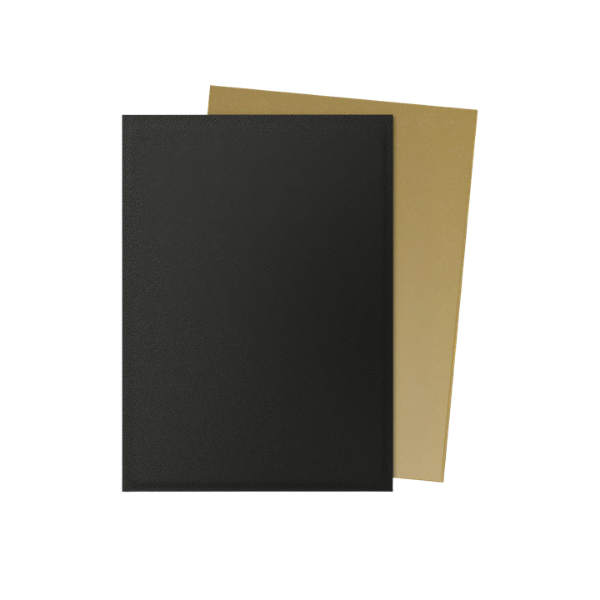 100 protège-cartes standard Dual Mat - Dragon Shield