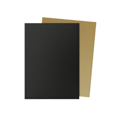 100 protège-cartes standard Dual Mat - Dragon Shield