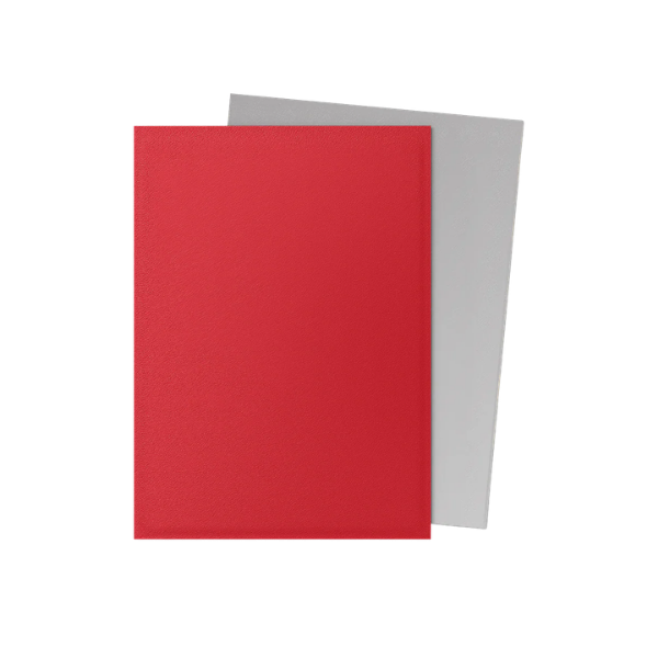 100 protège-cartes standard Dual Mat - Dragon Shield