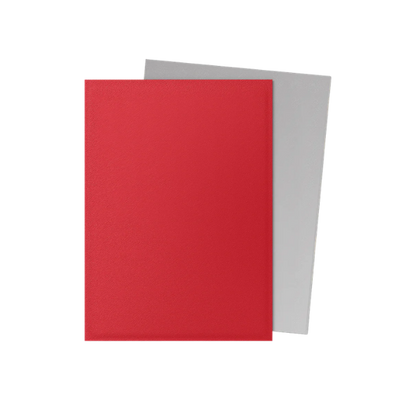100 protège-cartes standard Dual Mat - Dragon Shield