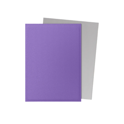 100 protège-cartes standard Dual Mat - Dragon Shield