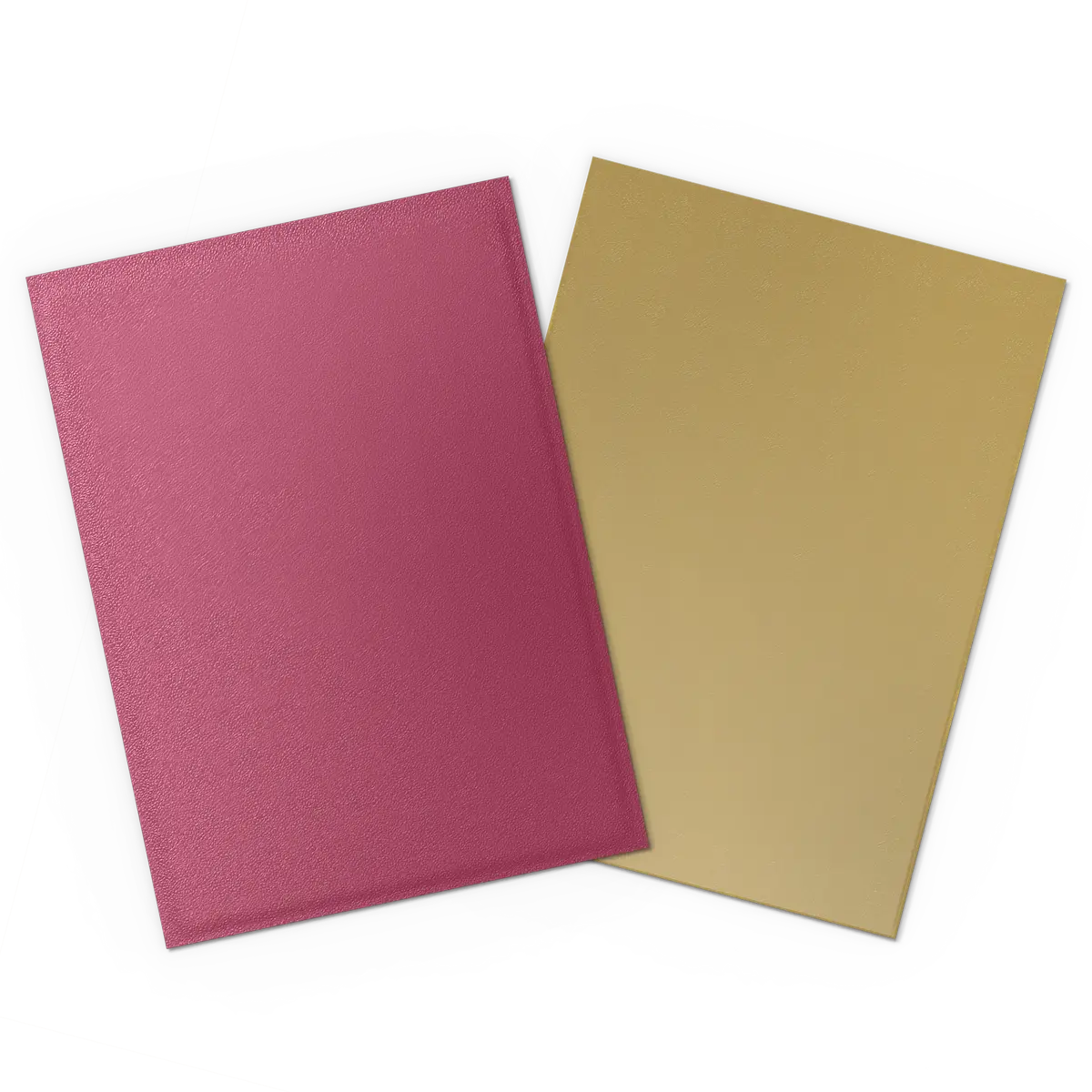 100 protège-cartes standard Dual Mat - Dragon Shield