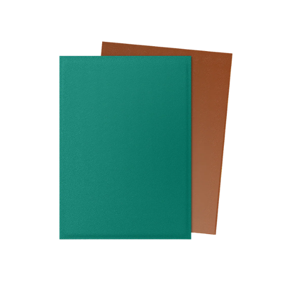 100 protège-cartes standard Dual Mat - Dragon Shield