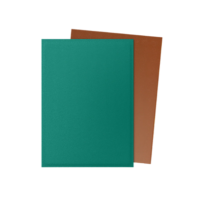 100 protège-cartes standard Dual Mat - Dragon Shield