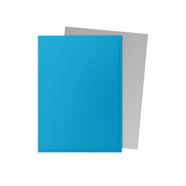 100 protège-cartes standard Dual Mat - Dragon Shield