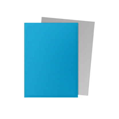 100 protège-cartes standard Dual Mat - Dragon Shield