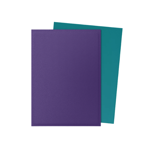 100 protège-cartes standard Dual Mat - Dragon Shield