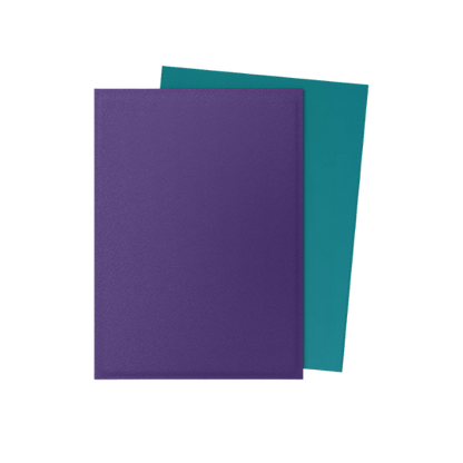 100 protège-cartes standard Dual Mat - Dragon Shield