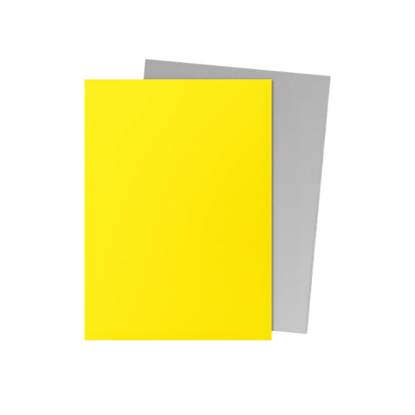 100 protège-cartes standard Dual Mat - Dragon Shield