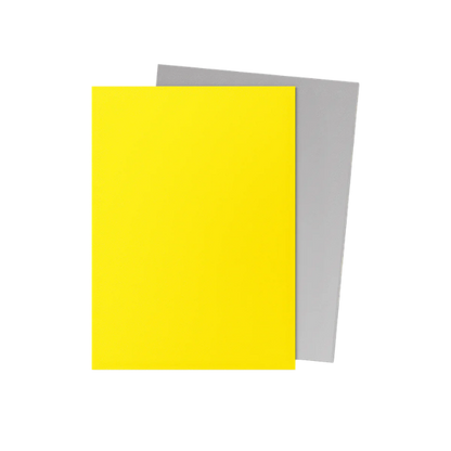 100 protège-cartes standard Dual Mat - Dragon Shield